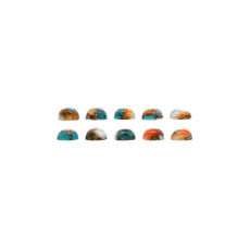 Copper Spiny Oyster and Turquoise Cab Round 5mm Approximately 5 Carat