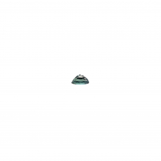 Natural Color Change Alexandrite Oval 4.5x3.5mm Single Piece 0.36 Carat